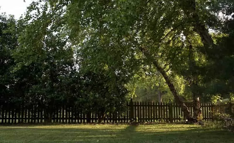 Outdoor