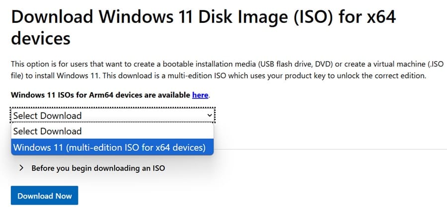 win 11