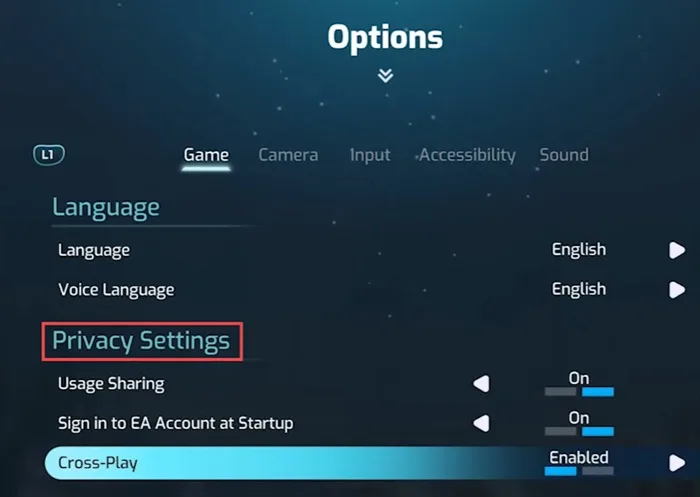 Cross Play