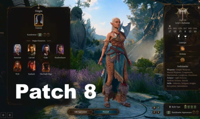 patch 8